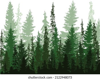 ilustración con bosque de abetos aislado en fondo blanco