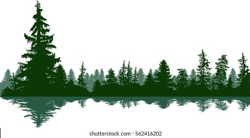 illustration with fir trees forest isolated on white background