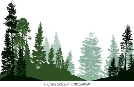 ilustración con bosque de abetos aislado en fondo blanco