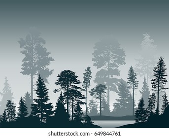 illustration with fir trees forest near small lake