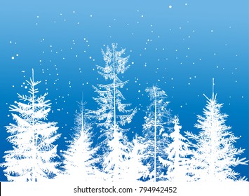 illustration with fir trees forest on blue snow background