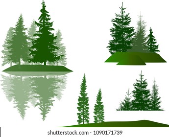 illustration with fir trees set isolated on white background