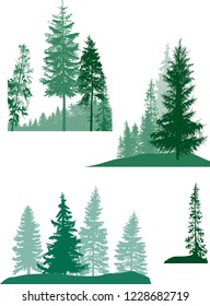 illustration with fir trees set isolated on white background