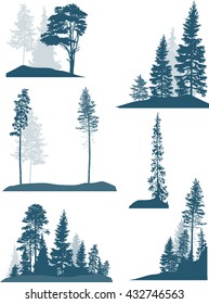 illustration with fir trees set isolated on white background