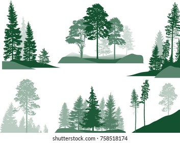 illustration with fir trees set isolated on white background