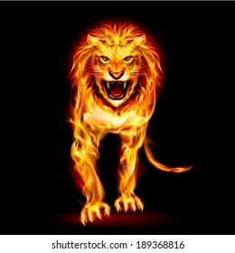 Illustration of fire lion isolated on black background