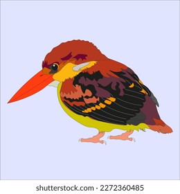 
illustration of the firebird also known as the blackback kingfisher is a pocket sized bird in the family Alcedinidae. This bird mostly lives on the Indian subcontinent and Southeast Asia