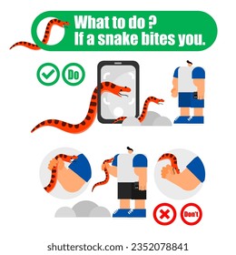 Illustration of the first aid for snakebite, what to do, if a snake bites you concept. 