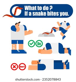 Illustration of the first aid for snakebite, what to do, if a snake bites you concept. 