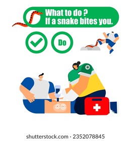 Illustration of the first aid for snakebite, what to do, if a snake bites you concept. 