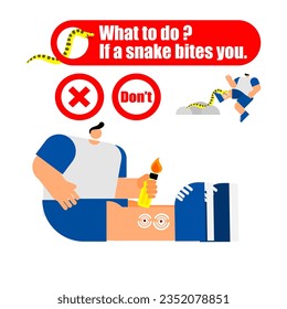 Illustration of the first aid for snakebite, what to do, if a snake bites you concept. 