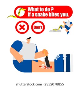 Illustration of the first aid for snakebite, what to do, if a snake bites you concept. 