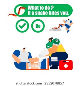 Illustration of the first aid for snakebite, what to do, if a snake bites you concept. 