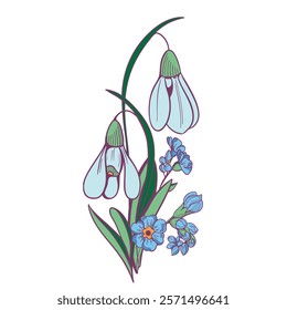 Illustration of first spring flowers, white snowdrops, and blue forget-me-not against a white background. Sketch style vector illustration. Spring Seasonal Design Element.