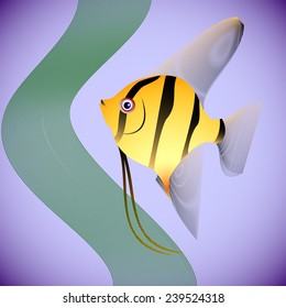 Illustration of fish