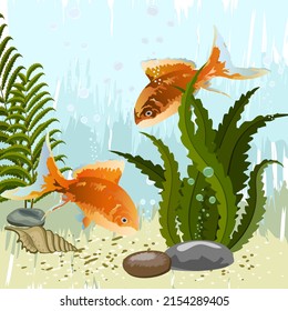 Illustration with fish and algae.Algae, golden fish on a colored background in vector illustration.