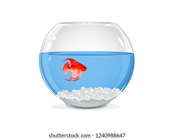 Illustration of fish bowl with blue water and single red fish on a white background