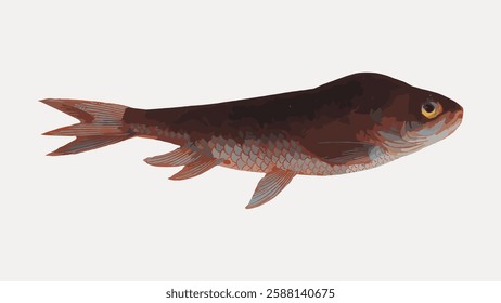 Illustration of a fish with brown scales and a streamlined body. The fish features detailed fins and a prominent eye, showcasing aquatic life and fish anatomy. Vintage marine life vector.