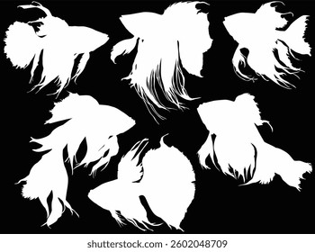 illustration with fish collection isolated on black background