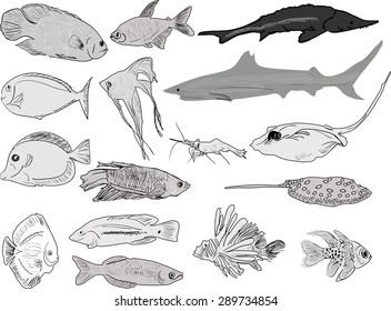 ilustración con colección de peces aislada en fondo blanco
