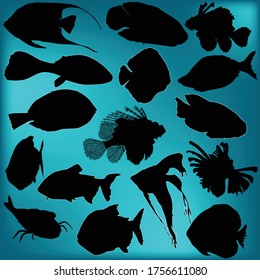 Illustration mit Fischsammlung auf dunklem Hintergrund