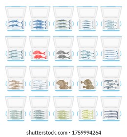 Illustration of a fish in a cooler box.