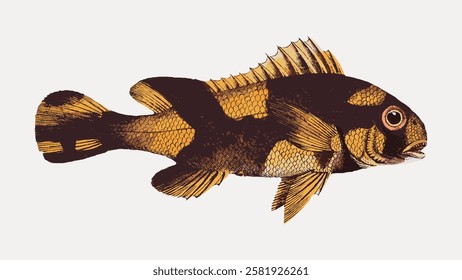 Illustration of a fish with dark brown and yellow scales, detailed fins, and a prominent eye. The fish features intricate scale patterns and bold colors. Vintage fish illustration isolated, vector.