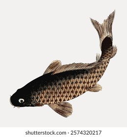 Illustration of a fish with detailed scales, fins, and tail. The fish is depicted in a realistic style, showcasing its natural texture and aquatic features. Isolated vintage vector element.