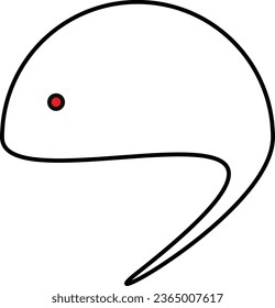 An Illustration of fish drawn in illustrator