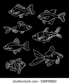 Illustration of fish in flat style. Sea food doodle elements.