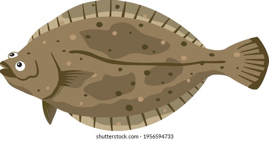 Illustration of fish (flatfish hirame) seafood