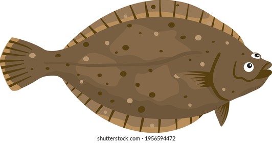 Illustration of fish (flatfish) seafood