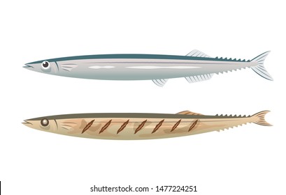 Illustration of fish and grilled fish