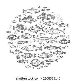 illustration with fish. Healthy eating concept