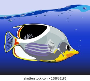 Illustration of fish, isolated on sea background, vector illustration