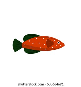 Illustration of Fish isolated on white background