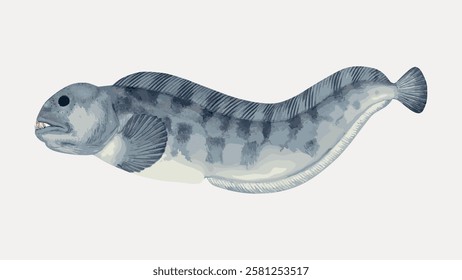 Illustration of a fish with a long, wavy body and distinct fins. The fish has a textured, striped pattern. The fish's mouth is slightly open, showing small teeth. Vintage fish illustration vector.