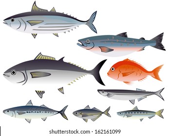 Illustration of Fish in the market