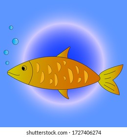Illustration of a fish on a blue gradient background. Close up