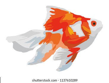 Illustration Fish On White Background Vector Stock Vector (Royalty Free ...