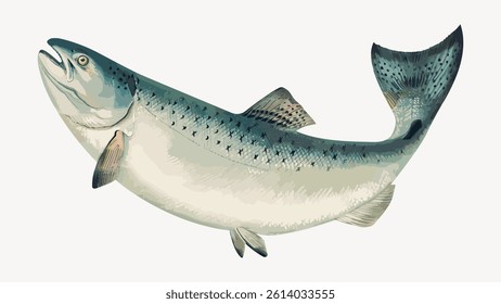 Illustration of a fish, showcasing detailed scales and fins. The fish appears dynamic, with a focus on its aquatic features and natural coloration. Vintage fish illustration, animal vector.
