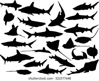 illustration with fish silhouettes collection isolated on white background