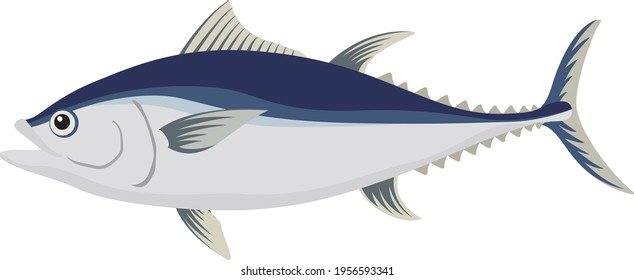 Illustration of fish (tuna) seafood