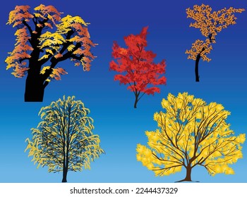 ilustración con cinco árboles de otoño sobre fondo azul