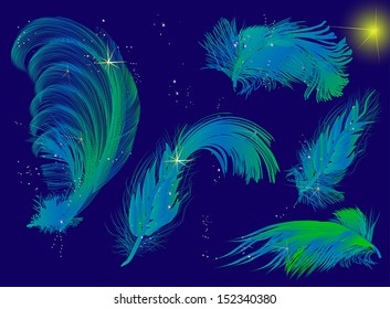 Illustration mit fünf blauen Federn