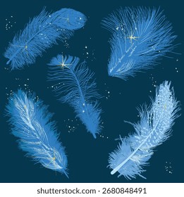 illustration with five blue feathers isolated on dark background