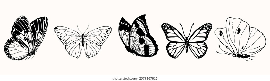 Illustration of five butterflies in black and white. Each butterfly features unique patterns. Butterflies are shown in a simple, elegant style. Animal illustrations, isolated element vector set.