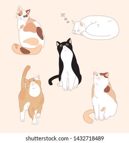 Illustration of five cats. Animal illustration vector EPS10