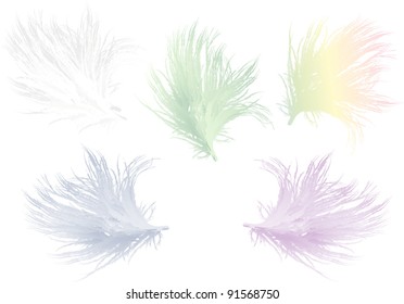 illustration with five color feathers isolated on white background
