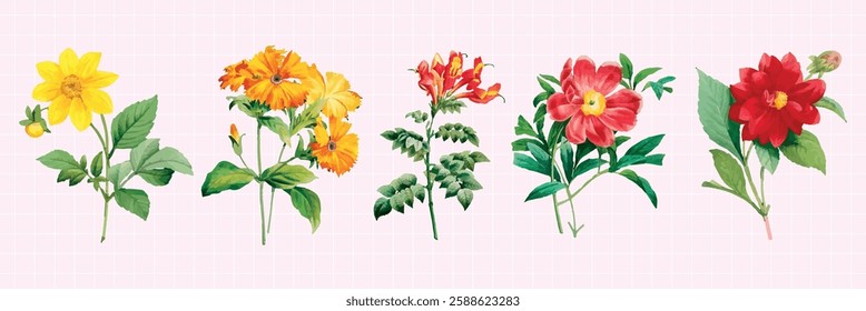 Illustration of five colorful flowers, including yellow, orange, and red blooms. Each flower has distinct petals and green leaves, arranged in a row. Floral illustrations, isolated vector set.